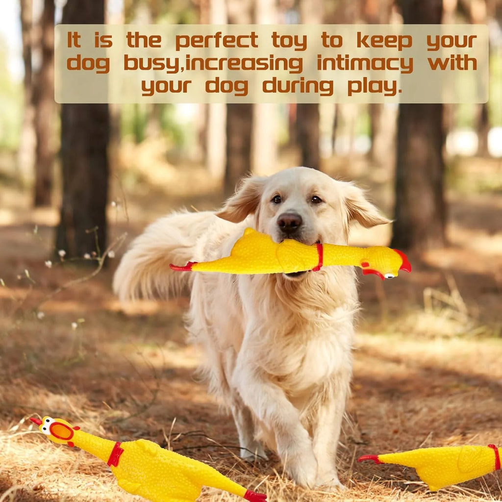 Rubber Screaming Chicken Dog Toy - Squeaky (Small, Medium, Large)