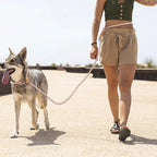 P Shape Adjustable Hands Free Dog Leash – Running & Walking Lead
