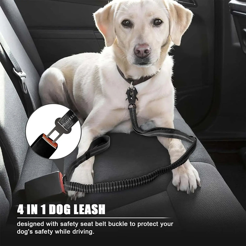 Dog Tactical Leash – Bungee Shock Control