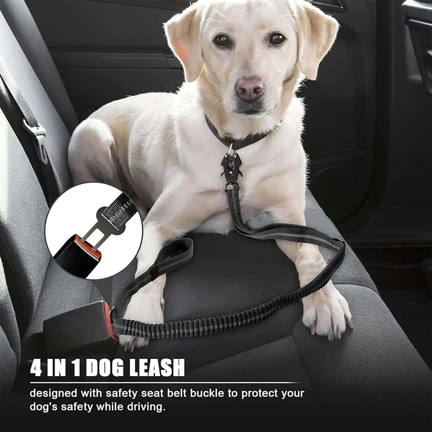 Dog Tactical Leash – Bungee Shock Control