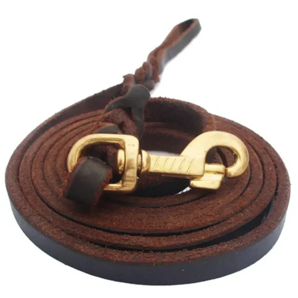 Dog Leather Leash – Braided Copper Hook