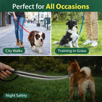 Dog Training Leash – Reflective Long Lead