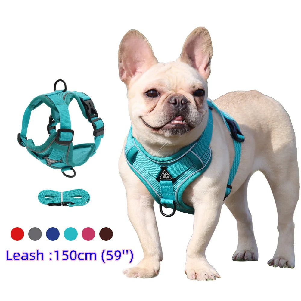 Dog Harness & Leash Set – Padded Adjustable Vest