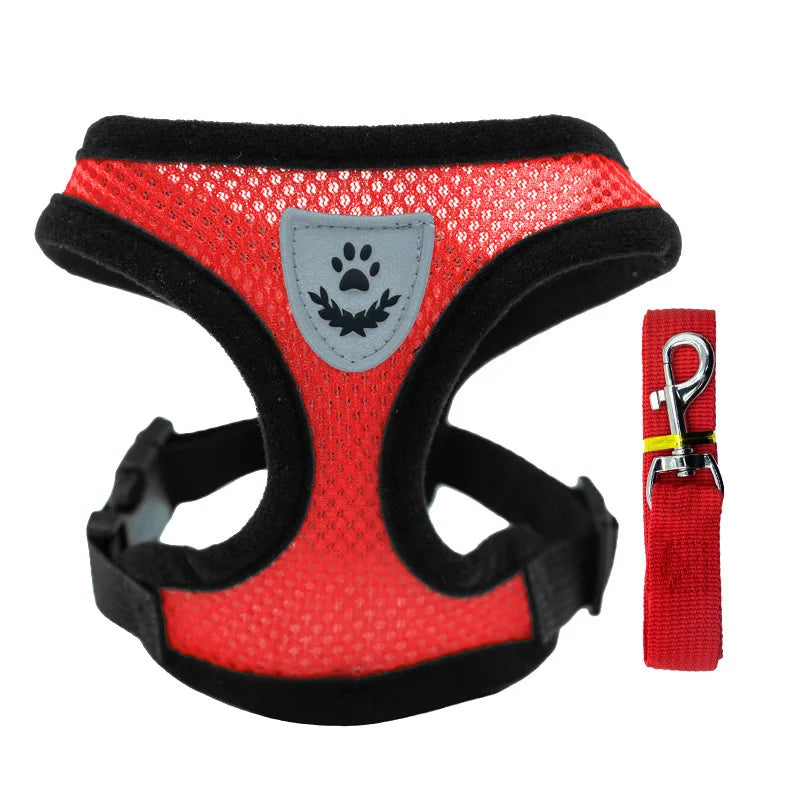 Small Dog Harness & Leash Set – Breathable Mesh Vest