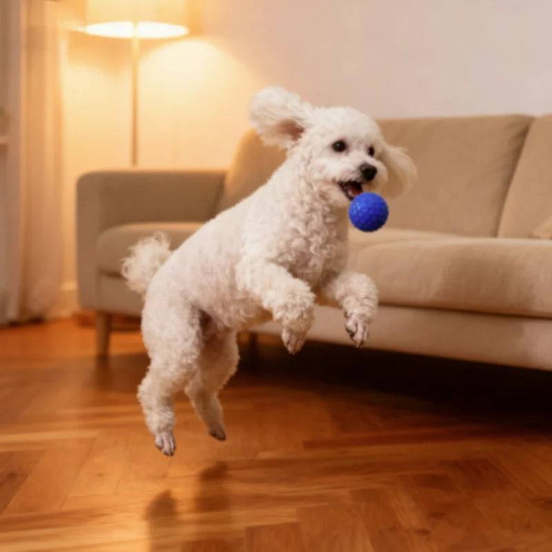 Interactive Rubber Ball – Dental Toy for All Breeds, Non-Electrical Chew