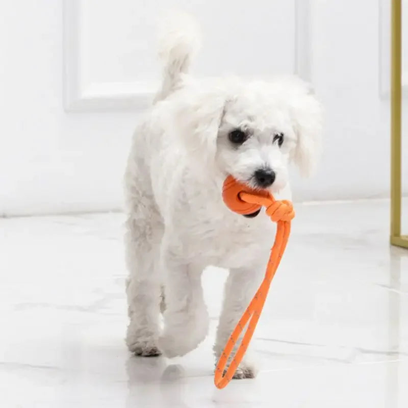 Cotton Rope Ball on Rope – Interactive Dog Toy for All Sizes