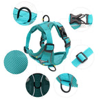 Dog Harness & Leash Set – Padded Adjustable Vest