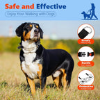 Adjustable Dog Prong Training Collar – Stainless Steel with Quick Release