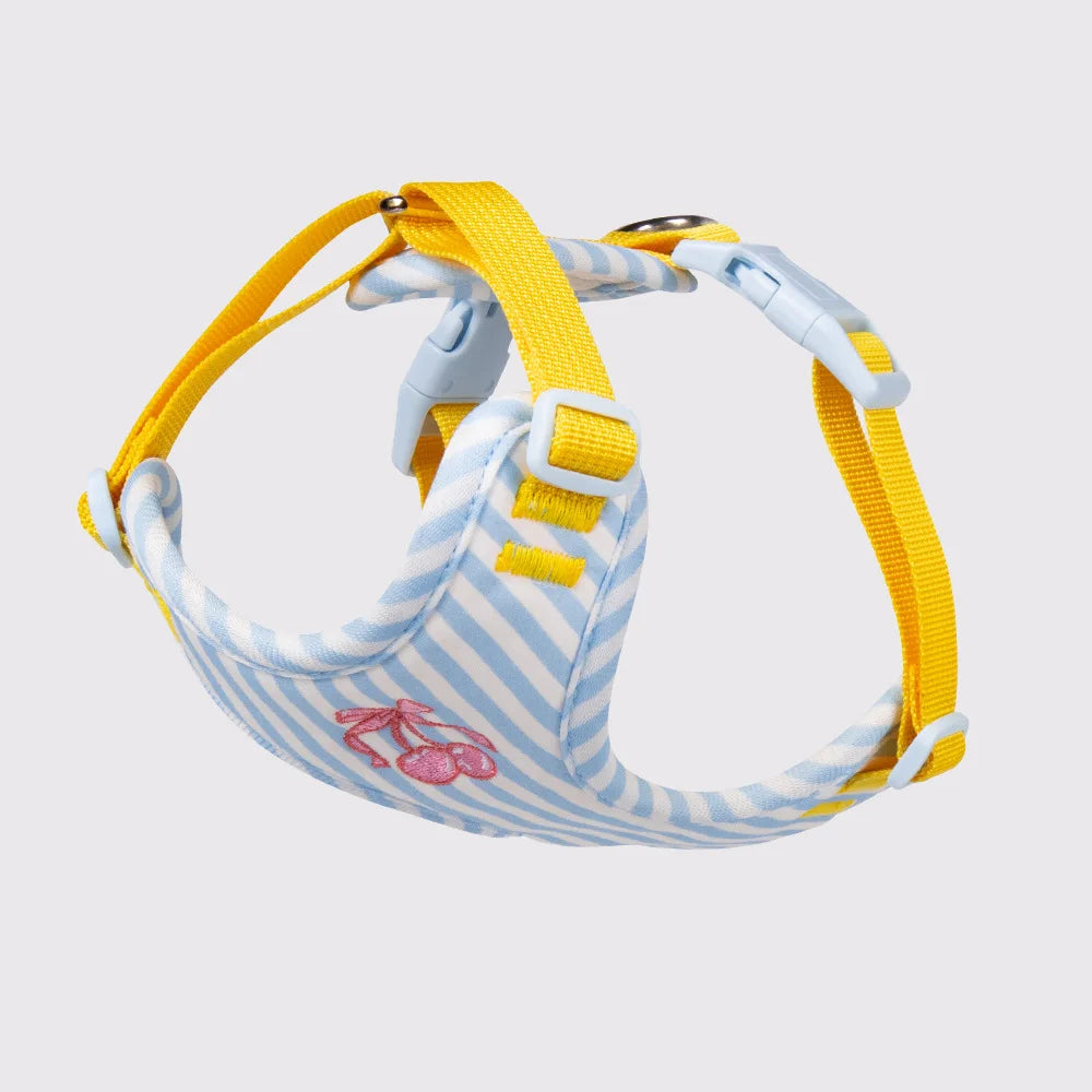Luxury Dog Harness Set – Stylish Leash & Plush Design