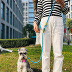 Dog Leash – Reflective Hands-Free Running