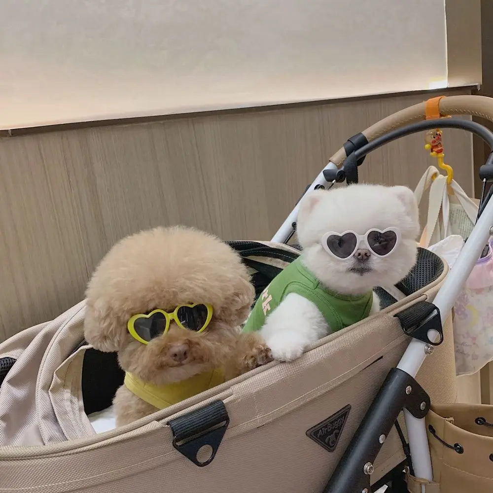 Fashion Heart Dog Sunglasses – Lightweight Photo Accessory