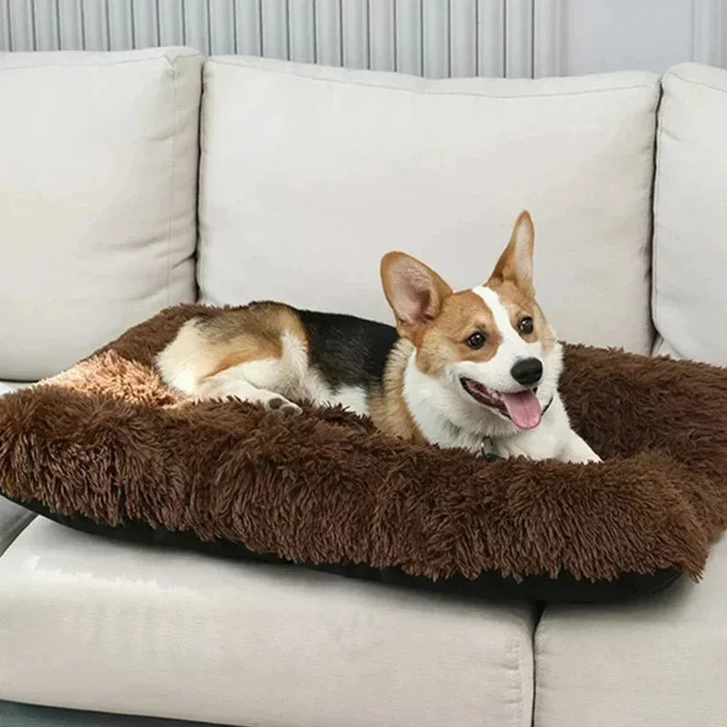 Large Washable Plush Dog Bed – Anti-Anxiety Warm Cushion for Small, Medium & Large Dogs