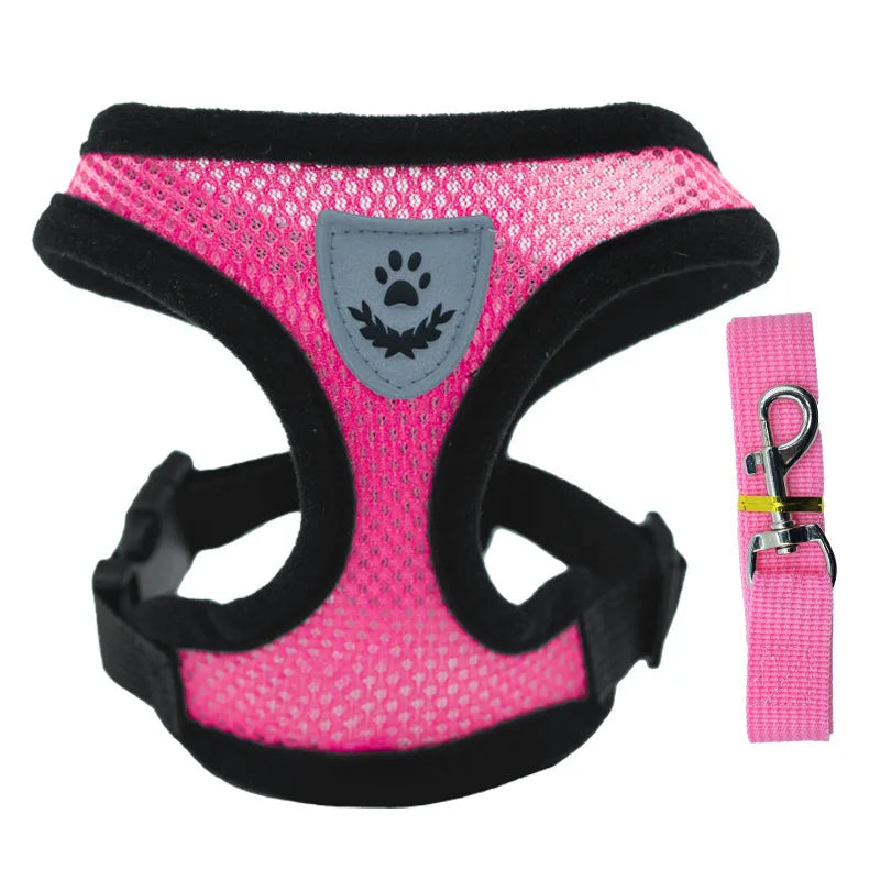 Small Dog Harness & Leash Set – Breathable Mesh Vest