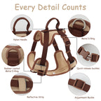 Luxury Dog Harness – No Pull Adjustable Chest Vest