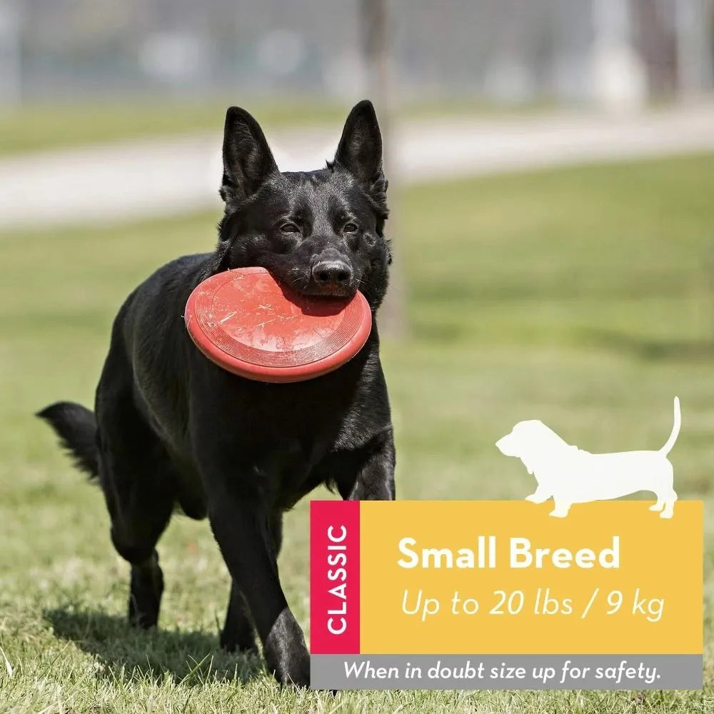 KONG Flyer Dog Disc – Durable Rubber Flying Disc for Fetch