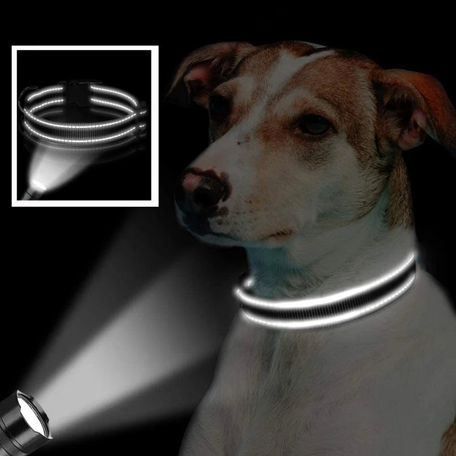 Reflective Dog Collar – Soft Padded Adjustable Night Safety