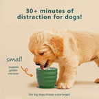 Silicone Slow Feeder Dog Bowl with Suction Cup – Non-Slip Healthy Eating Dish
