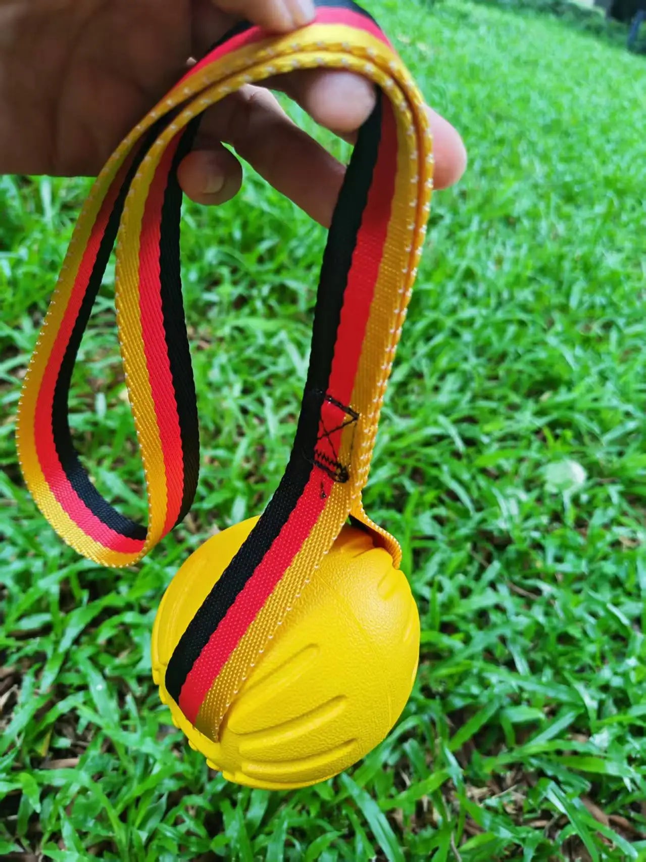 Dog Interactive Toy Set – EVA Rope Ball & Flying Disc