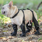 Dog Boots – Waterproof Anti-Slip Paw Protectors