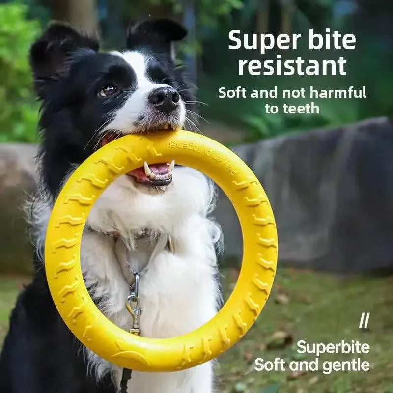 Indestructible Dog Ring Toy – Floating for All Sizes