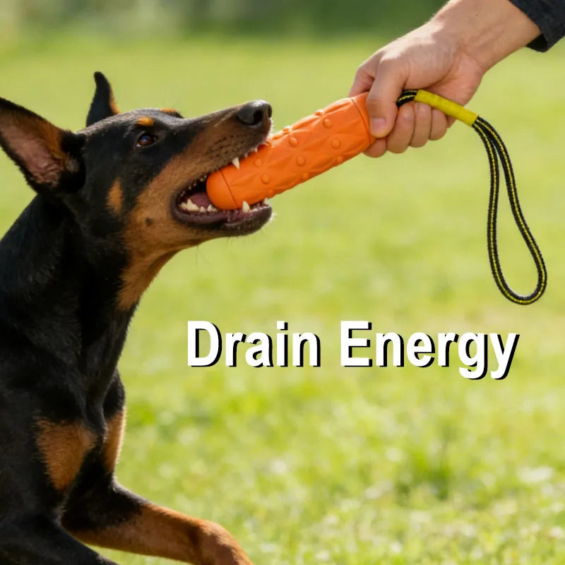 EVA Biting Stick with Rope – Heavy Duty Dog Toy