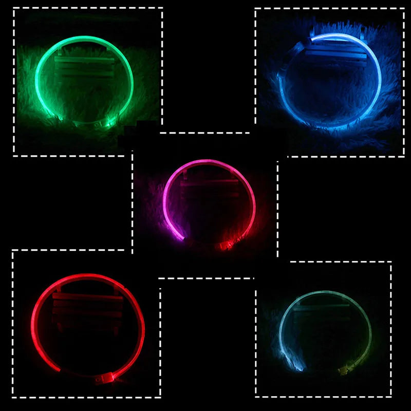 LED Dog Collar USB Rechargeable – 3 Mode Night Safety Light