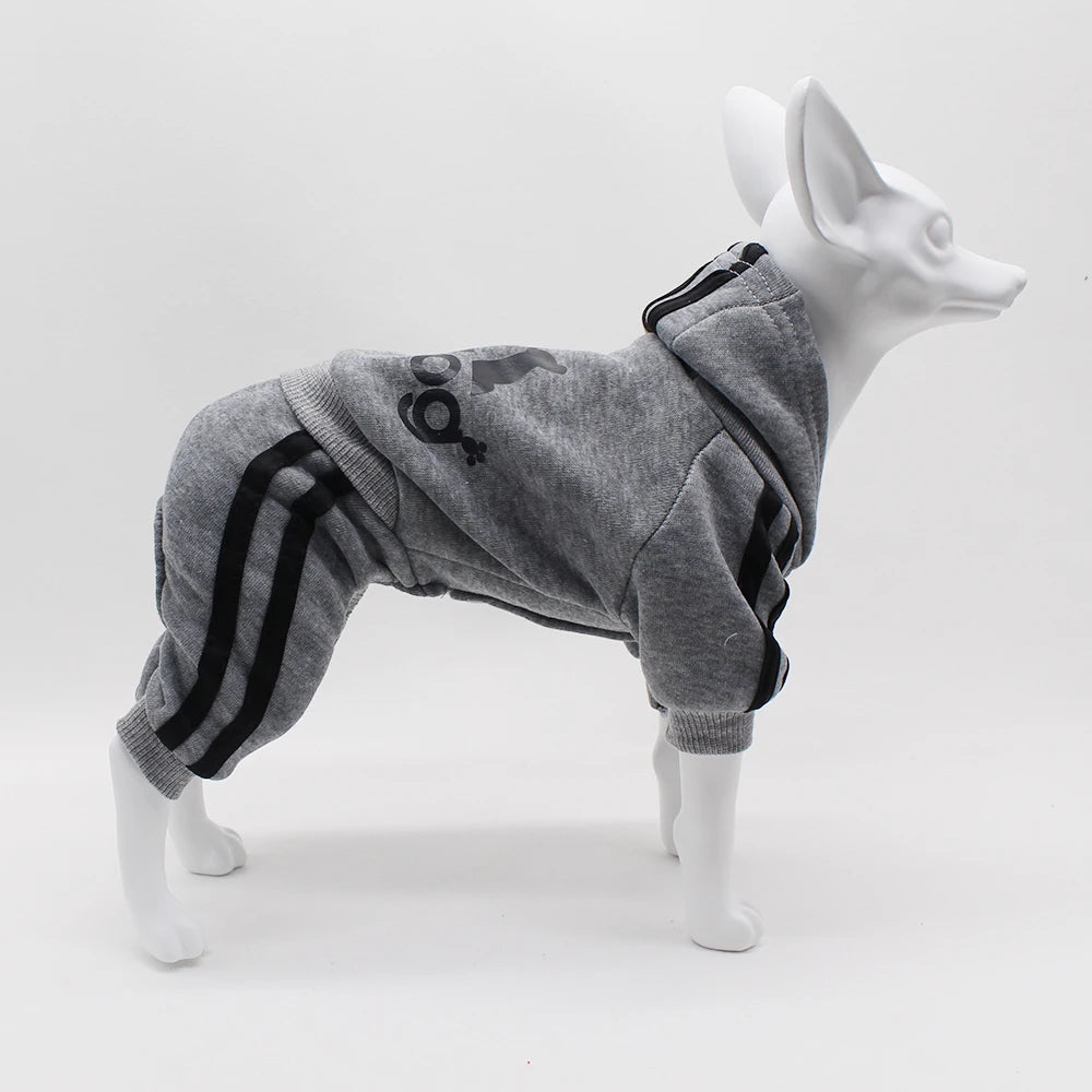 Adidog Dog Jumpsuit – Hooded Spring Outfit for Small Dogs