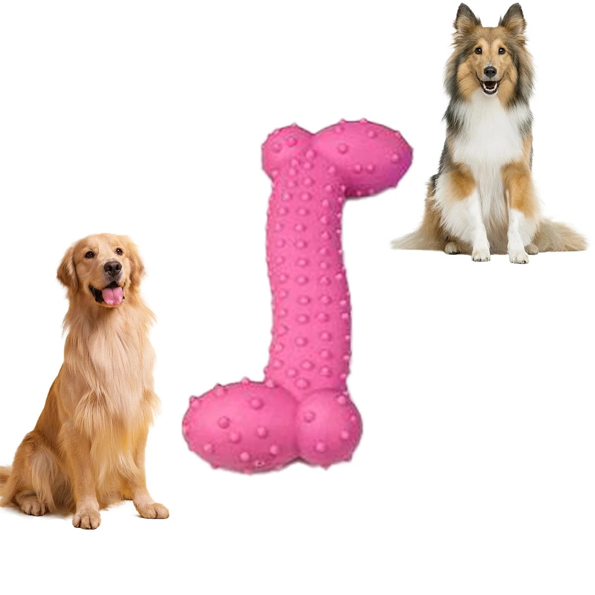 Rubber Bone Shape Chew Toy - 2 Sizes for Dogs | Durable & Dental-Friendly