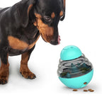 IQ Training Dog Toy – Interactive Slow Feeder Ball