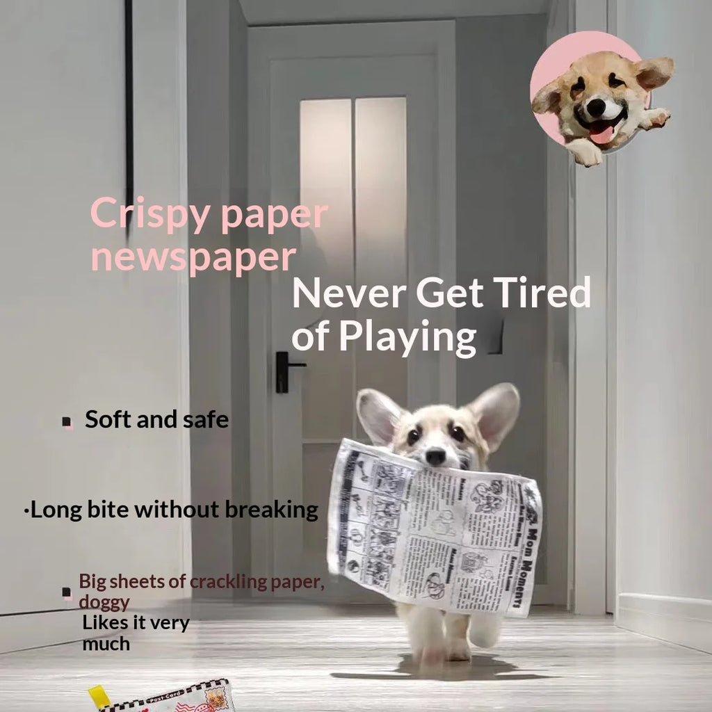 Newspaper Crinkle Squeaky Toy for Small Dogs – Teething Relief and Engaging Play