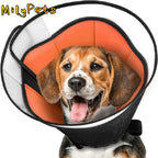 Dog Cone Collar – Soft Anti-Licking Recovery Cone