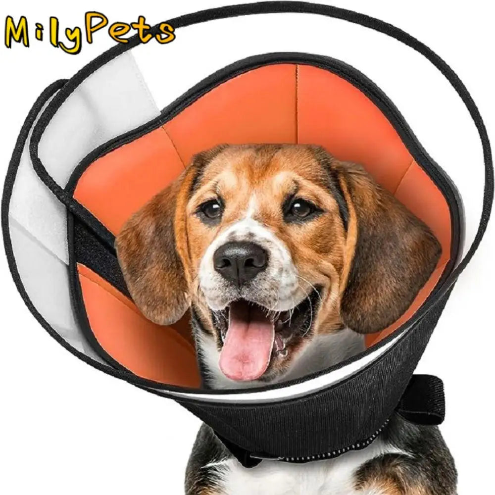 Dog Cone Collar – Soft Anti-Licking Recovery Cone