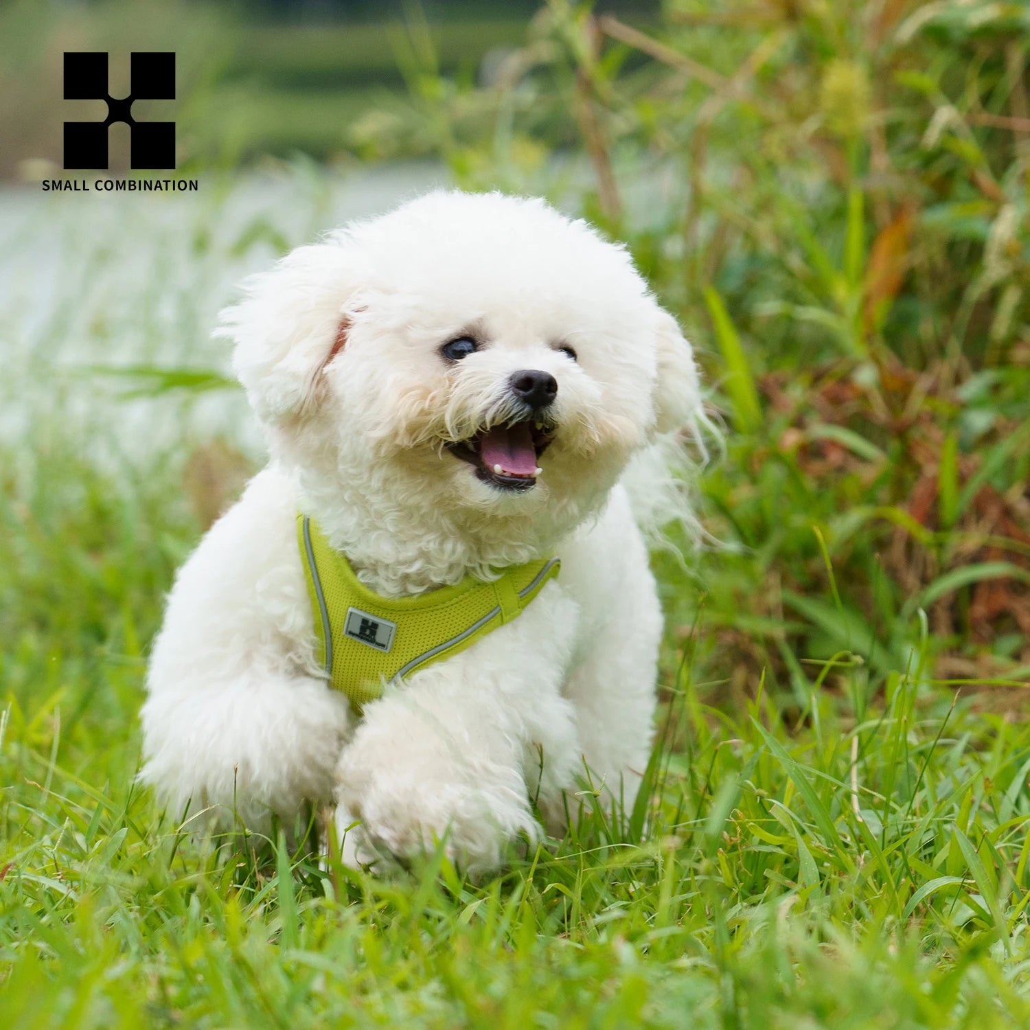 Dog Harness & Leash Set – Step-In Reflective Mesh Vest