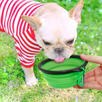 Heavy-Duty Collapsible Dog Travel Bowl – Adventure-Ready Silicone Feeder