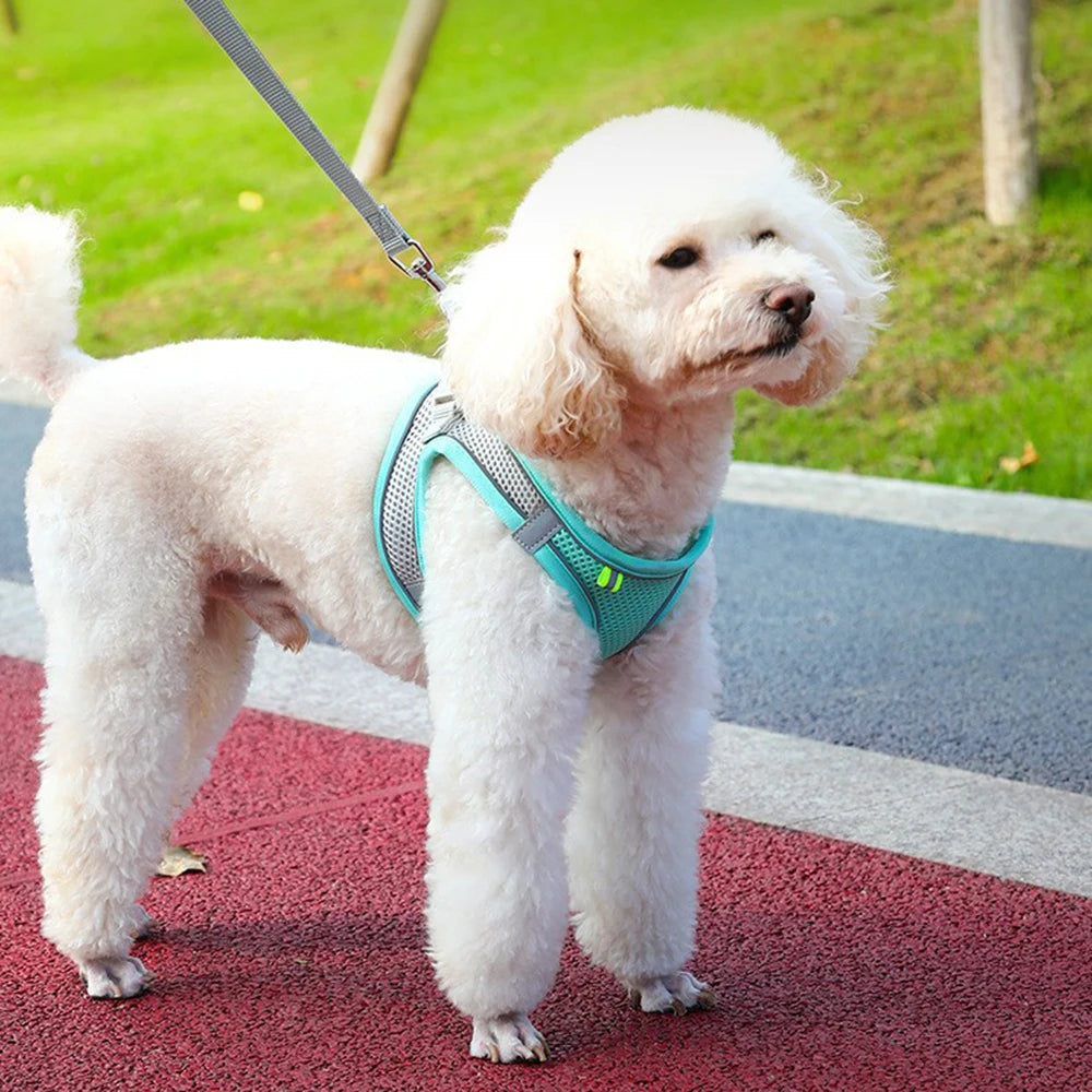 NONECN Reflective Nylon Dog Harness Vest – Small to Medium Dogs, Breathable, Striped