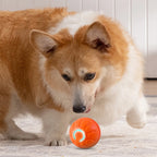 Smart Interactive Dog Toy Ball – Automatic Moving & Jumping Ball