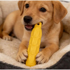 EVA Biting Stick Dog Toy – Dental Chew Resistant