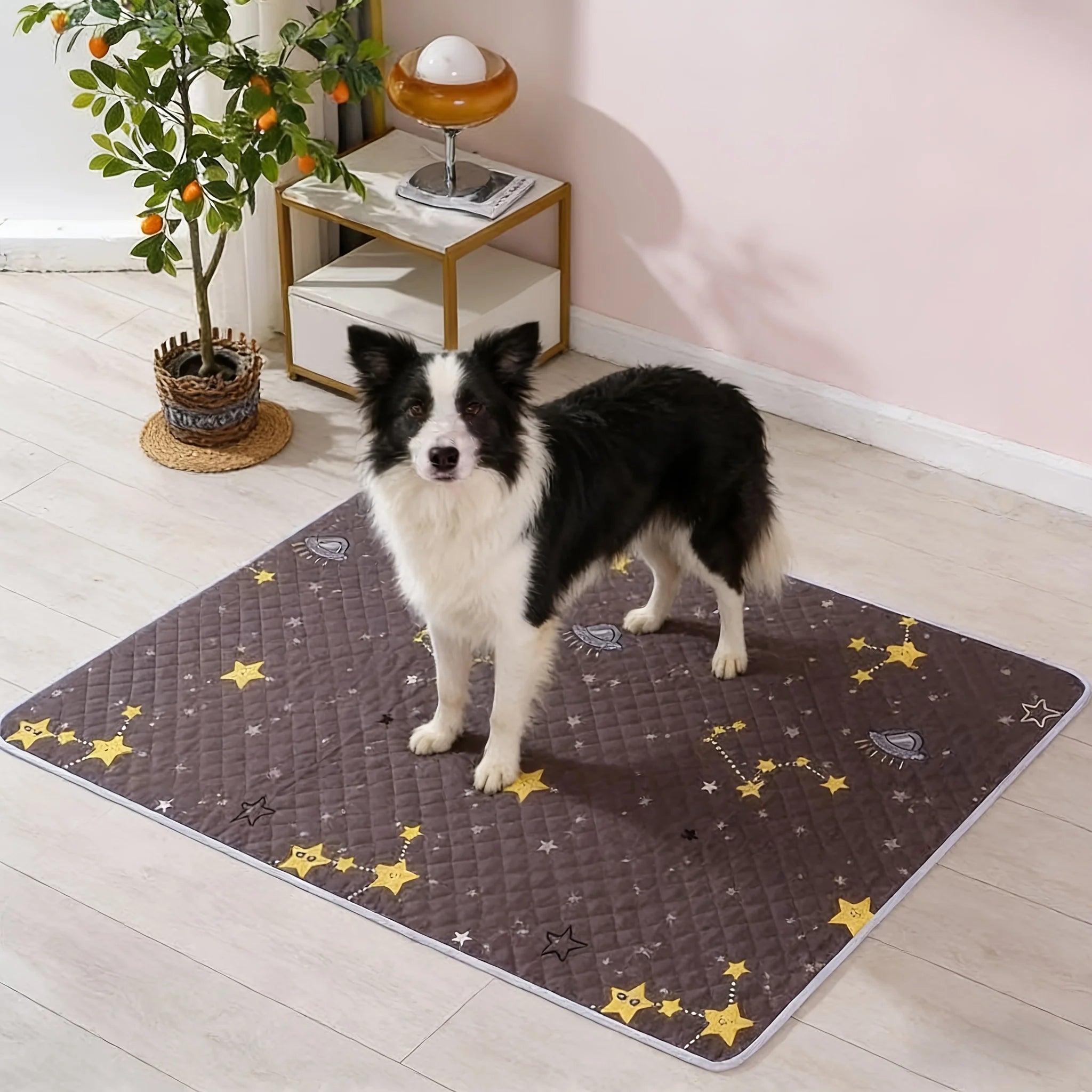 KEMORELA Reusable Dog Training Mats – 2PCS Washable Pet Toilet Pads for Floors & Car Seats