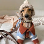 Color Block Striped Dog Sweater – Warm Winter Knit for Small Dogs