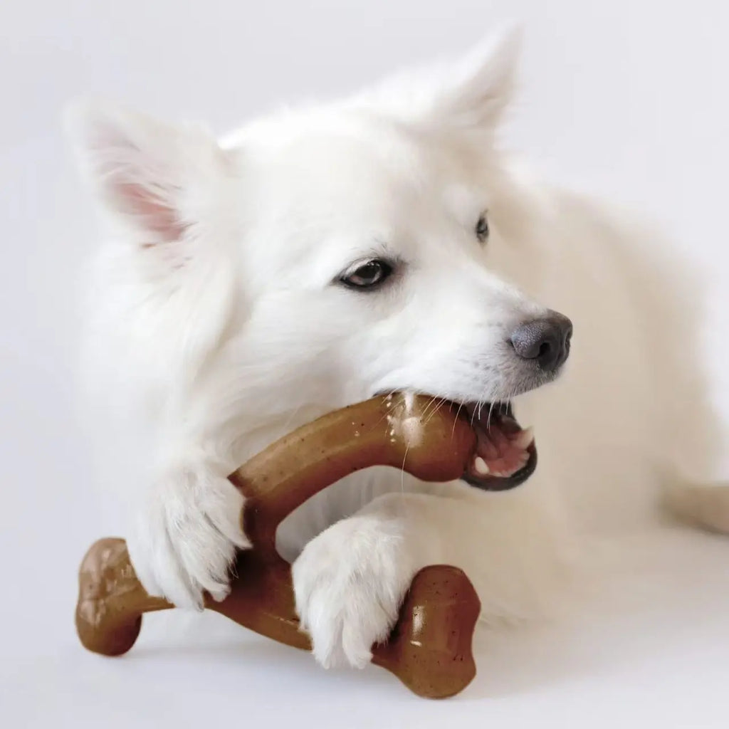 Nylon Bone Chew Toy for Medium & Large Dogs