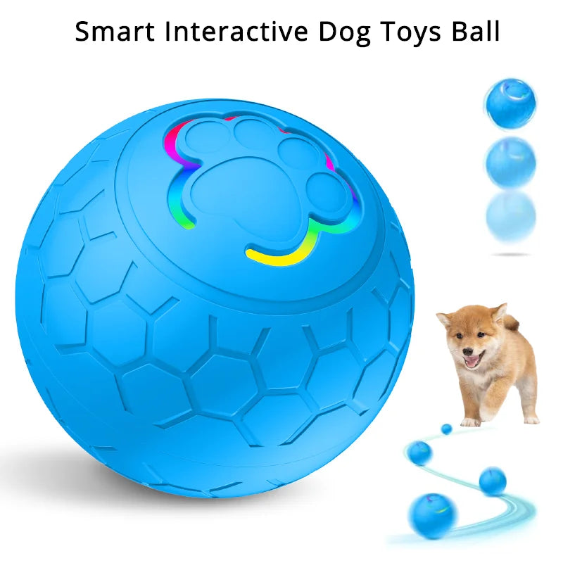 LED Interactive Dog Ball – Automatic Moving & Color Changing Toy