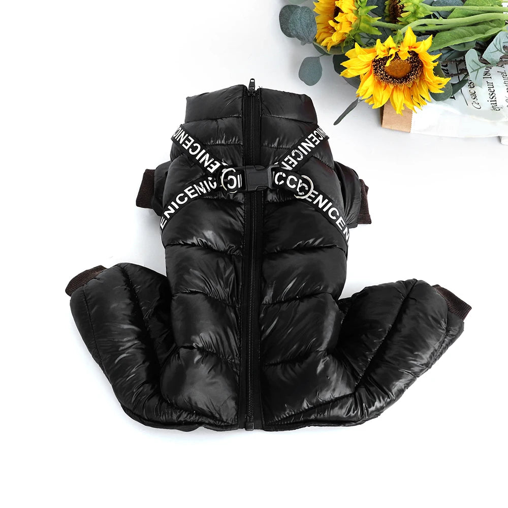 PET ARTIST Winter Dog Jacket – Waterproof Cotton Coat