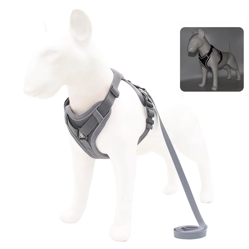 Dog Harness & Leash Set – Padded Adjustable Vest