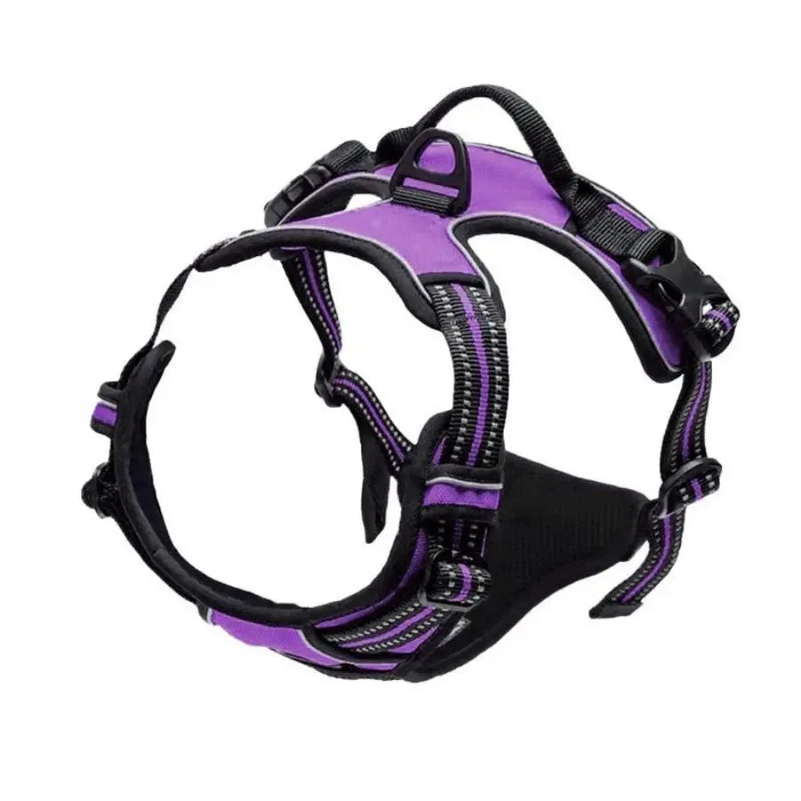 BeiYu Pet Dog Harness Vest Set – Leather Collar & Leash Kit for Small Dogs