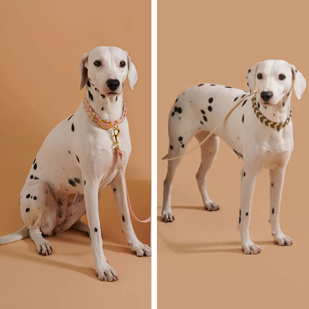 Colorful Dog Fashion Collar – Reflective Breakaway Neck Ring