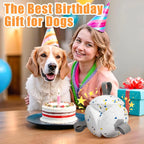 Dog Soccer Ball with Rope – Durable Fetch & Tug Toy