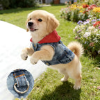 Denim Dog Jacket Set – Blue Hoodie with Gray Cap for Small Dogs