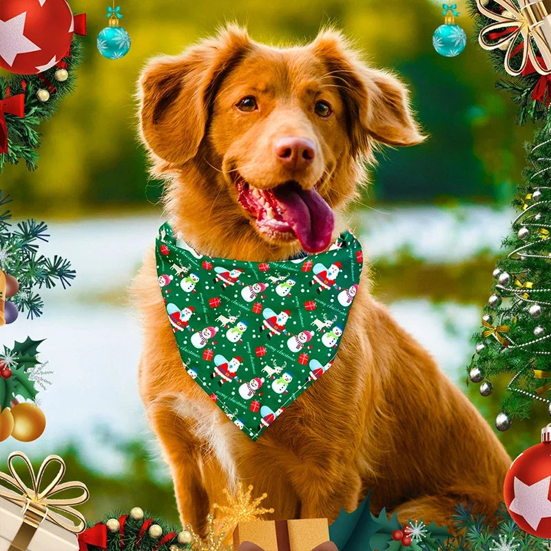 PetCare Dog Bandana – Cotton Multicolor Neckerchief, 1pc