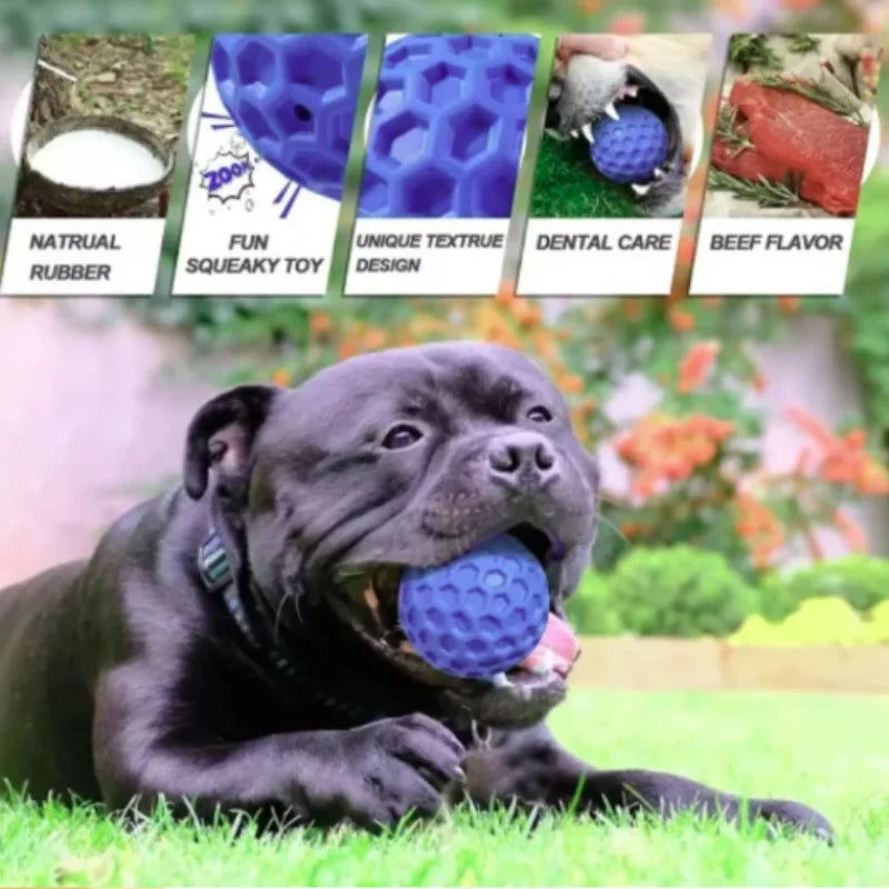 Interactive Rubber Ball – Dental Toy for All Breeds, Non-Electrical Chew