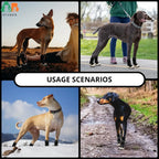 Dog Boots – Anti-Slip Waterproof Shoes